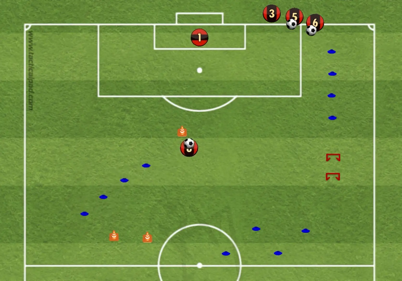 Circuito Físico Técnico Fútbol